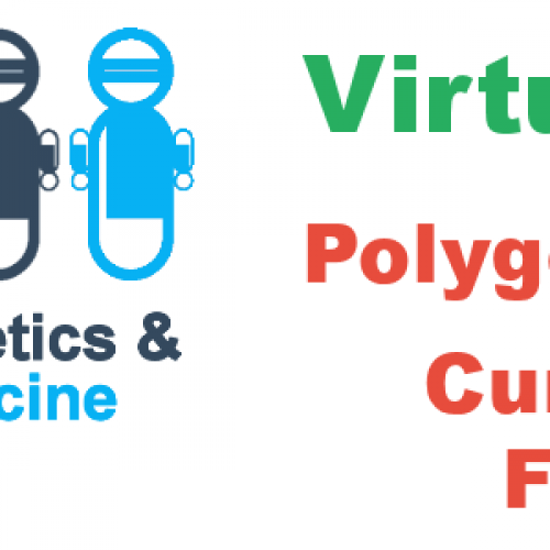UK Pharmacogenetics and Stratified Medicine Network Virtual Workshop : Polygenic Risk Scores - Current Status and Future Utility