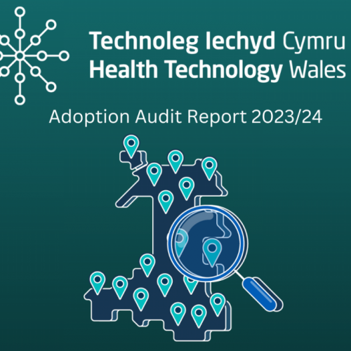 Latest adoption audit report shows HTW guidance is having an impact across Wales